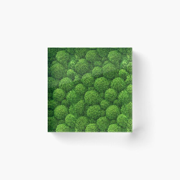 Item preview, Dense Bright Green Moss Forest Floor Texture designed and sold by Piotrek0001.