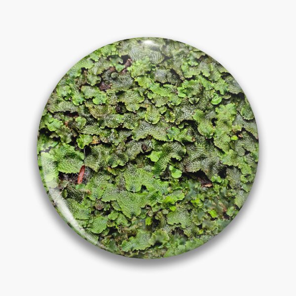 Item preview, Snakeskin Liverwort designed and sold by bjtomiko.