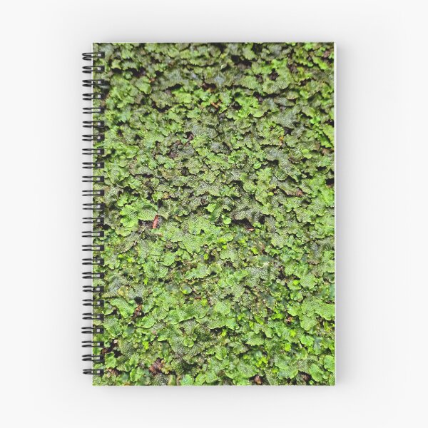 Item preview, Snakeskin Liverwort designed and sold by bjtomiko.