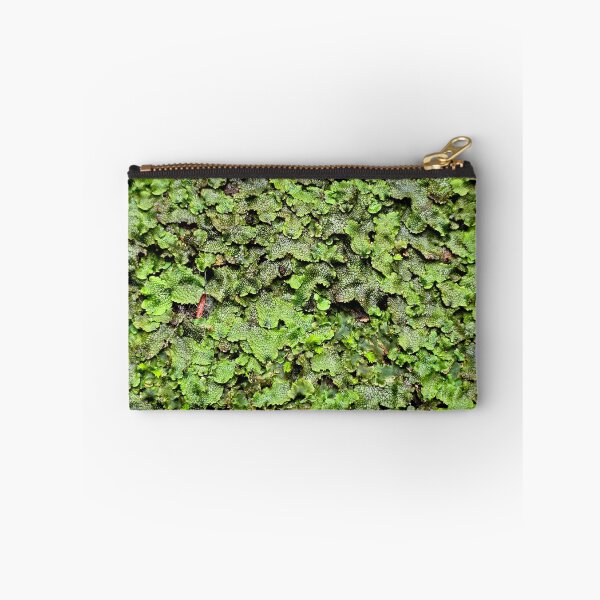 Item preview, Snakeskin Liverwort designed and sold by bjtomiko.