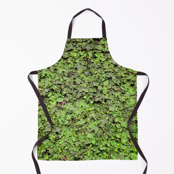 Item preview, Snakeskin Liverwort designed and sold by bjtomiko.