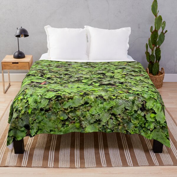 Item preview, Snakeskin Liverwort designed and sold by bjtomiko.