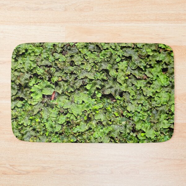 Item preview, Snakeskin Liverwort designed and sold by bjtomiko.