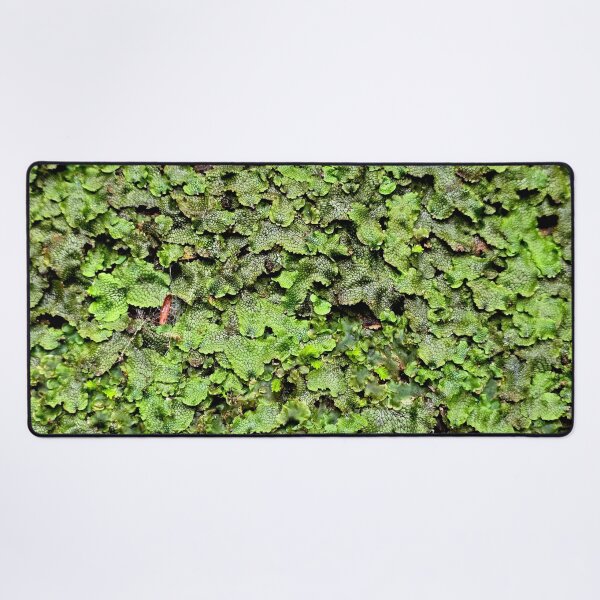 Item preview, Snakeskin Liverwort designed and sold by bjtomiko.