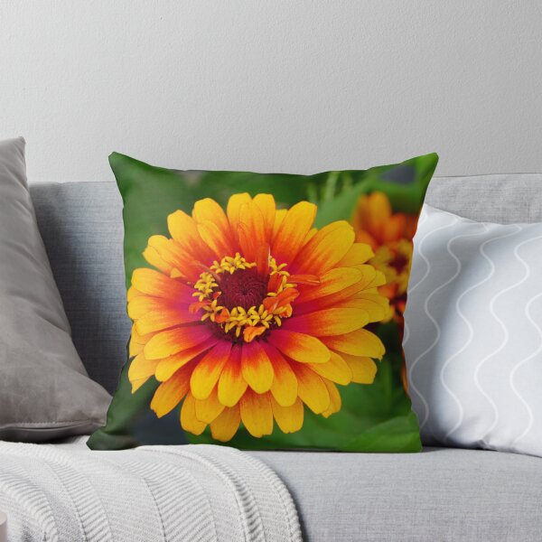 Item preview, Fairy Fire Flower - Golden Yellow Zinnia with an Orange and Scarlet Center designed and sold by Loveisthebtwd.