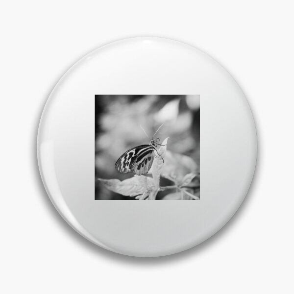 Item preview, Reflecting designed and sold by Debra Cox.
