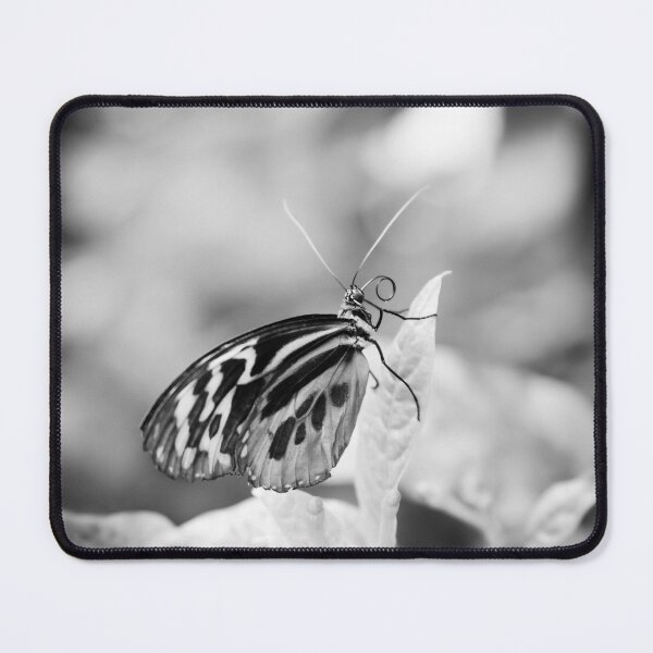 Item preview, Reflecting designed and sold by Debra Cox.