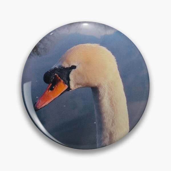 Item preview, portrait of a swan (forth & clyde canal, scotland)  designed and sold by photosbykel.