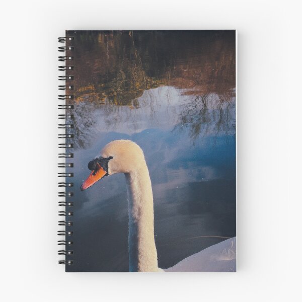 Item preview, portrait of a swan (forth & clyde canal, scotland)  designed and sold by photosbykel.