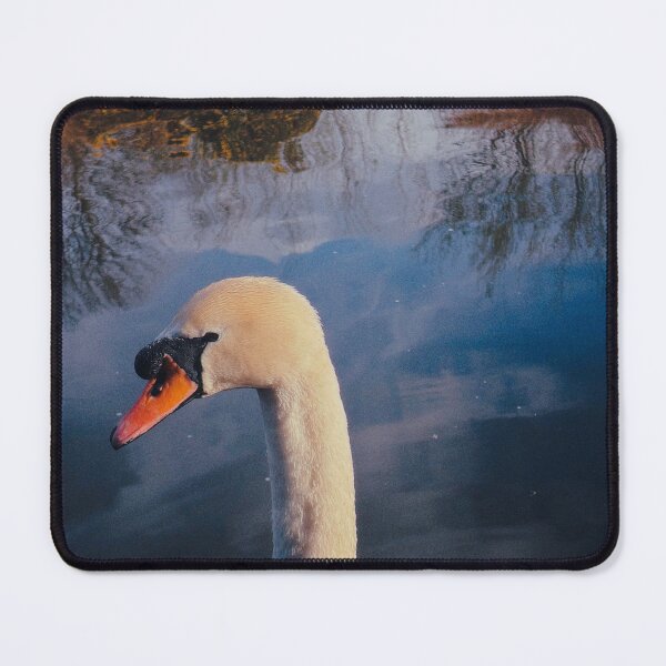 Item preview, portrait of a swan (forth & clyde canal, scotland) designed and sold by photosbykel.