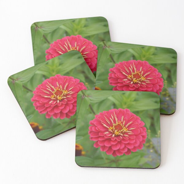 Item preview, Strawberry Lime Slushie - Bright Pink and Lime Green Zinnia Flower designed and sold by Loveisthebtwd.