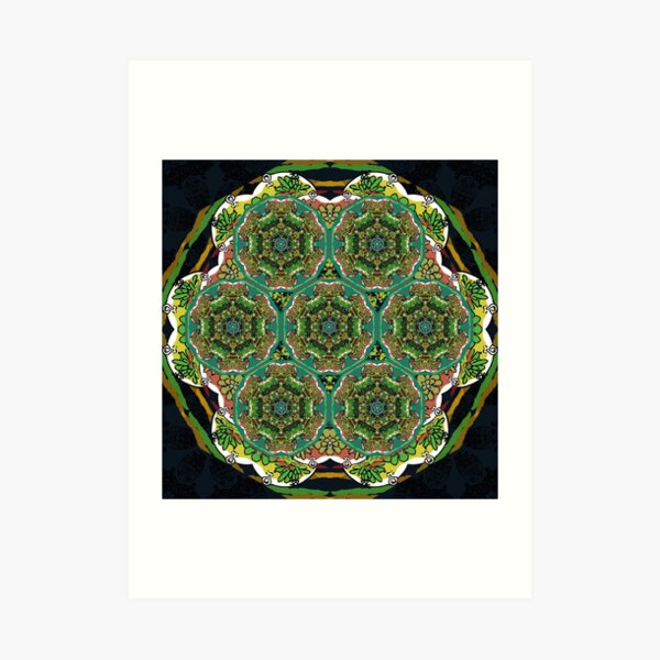 Green Terrarium Kaleidoscope Art Print