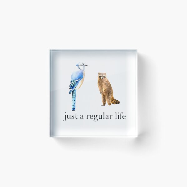 Item preview, Just a Regular Life Blue Jay Raccoon Funny Wildlife Meme  designed and sold by URGlden.