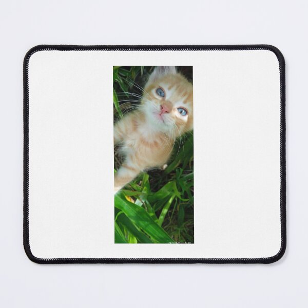 Item preview, Small, curious feline in the garden designed and sold by katefndz.