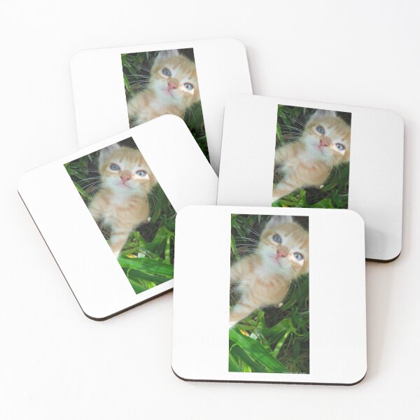 Item preview, Small, curious feline in the garden designed and sold by katefndz.
