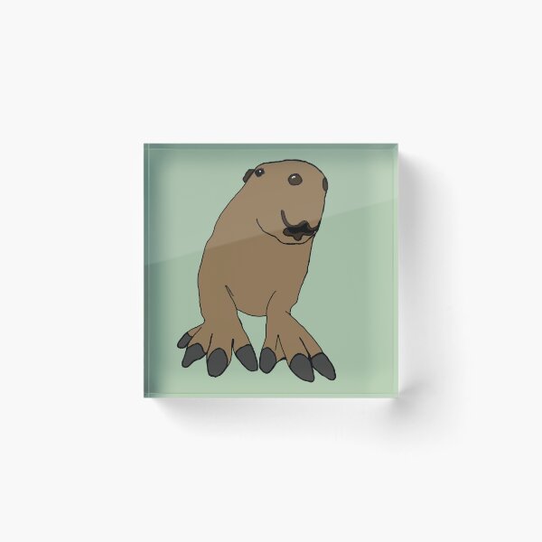 Item preview, .5 Capybara designed and sold by ajw-art.
