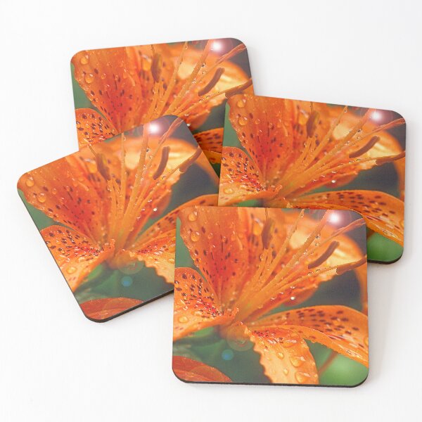 Item preview, Daylily, Genus Hemerocallis, Full Bloom, Bright Sunlight designed and sold by AMacGPhilly.
