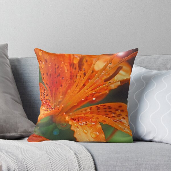 Item preview, Daylily, Genus Hemerocallis, Full Bloom, Bright Sunlight designed and sold by AMacGPhilly.