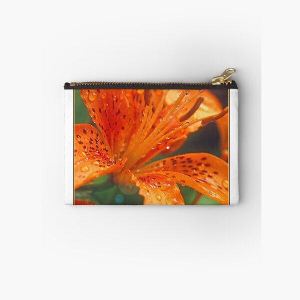 Item preview, Daylily, Genus Hemerocallis, Full Bloom, Bright Sunlight designed and sold by AMacGPhilly.