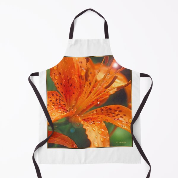Item preview, Daylily, Genus Hemerocallis, Full Bloom, Bright Sunlight designed and sold by AMacGPhilly.