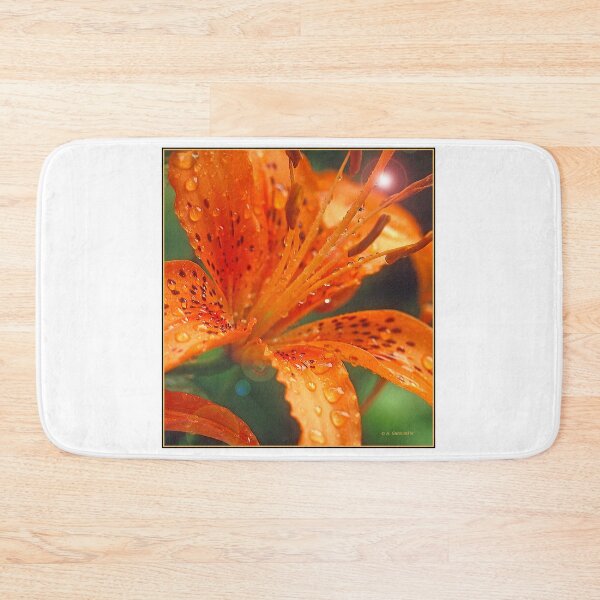 Item preview, Daylily, Genus Hemerocallis, Full Bloom, Bright Sunlight designed and sold by AMacGPhilly.