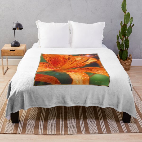 Item preview, Daylily, Genus Hemerocallis, Full Bloom, Bright Sunlight designed and sold by AMacGPhilly.