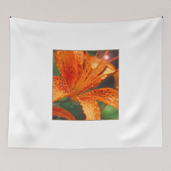 Item preview, Daylily, Genus Hemerocallis, Full Bloom, Bright Sunlight designed and sold by AMacGPhilly.