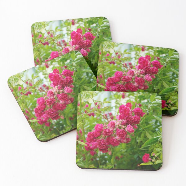 Item preview, She Knows How to Bloom - Wild and Well-rooted Rose Bush designed and sold by Loveisthebtwd.