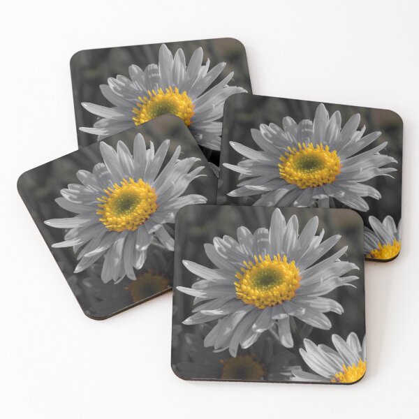 Item preview, Color isolation photo of Asters  designed and sold by Cblifeisgood.