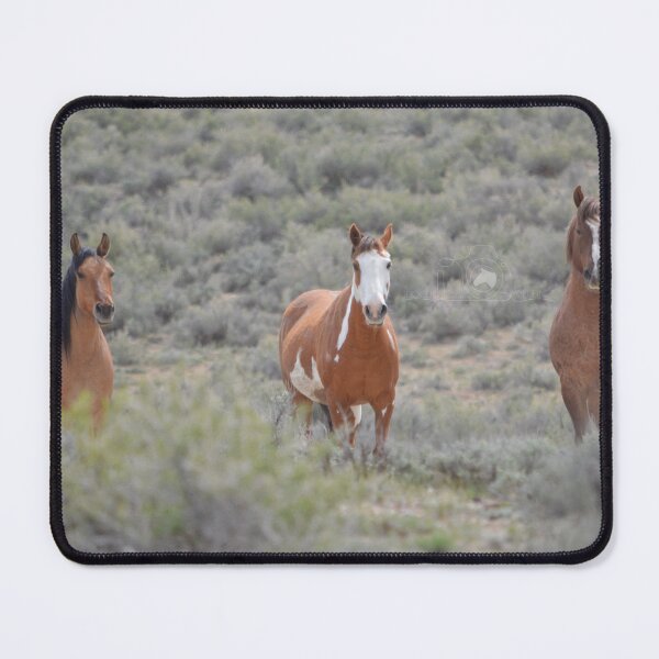 Item preview, Sandwash Basin designed and sold by idocusstudios.