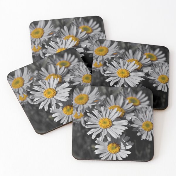 Item preview, Photo of Asters color isolated for yellow  designed and sold by Cblifeisgood.