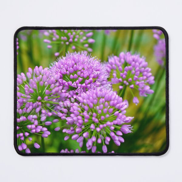 Item preview, Bursting Purple Pom Poms - Blooming Allium Millenium Flower designed and sold by Loveisthebtwd.