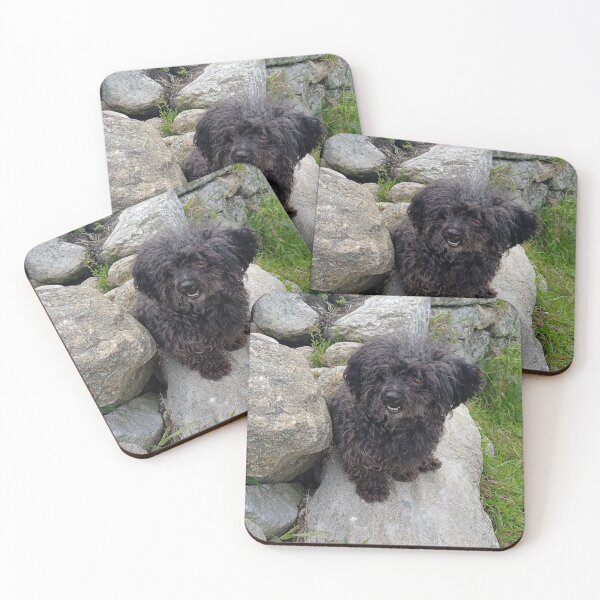 Item preview, Small black dog resting on natural rocks designed and sold by katefndz.