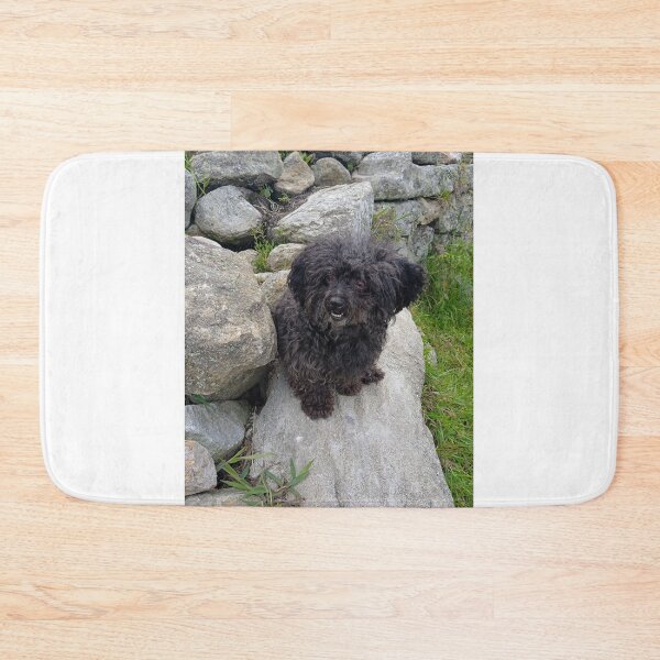 Item preview, Small black dog resting on natural rocks designed and sold by katefndz.