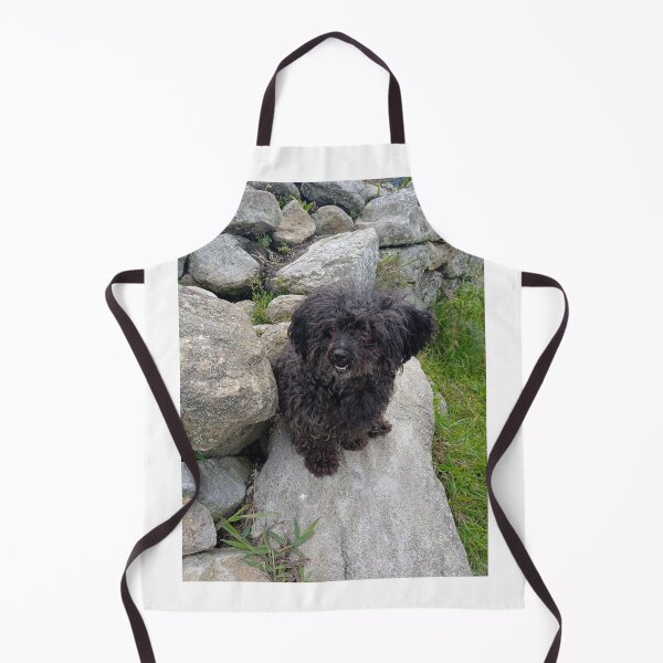 Item preview, Small black dog resting on natural rocks designed and sold by katefndz.