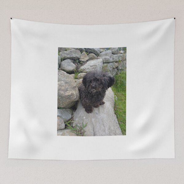 Item preview, Small black dog resting on natural rocks designed and sold by katefndz.