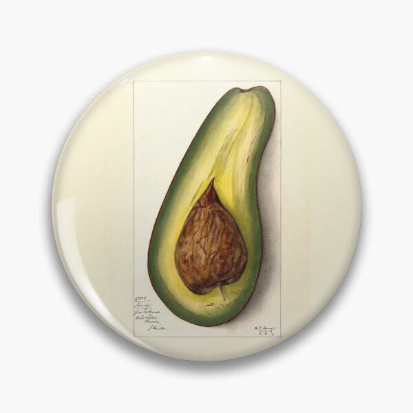 Item preview, Persea Family Avocado Botanical Study designed and sold by Glimmersmith.