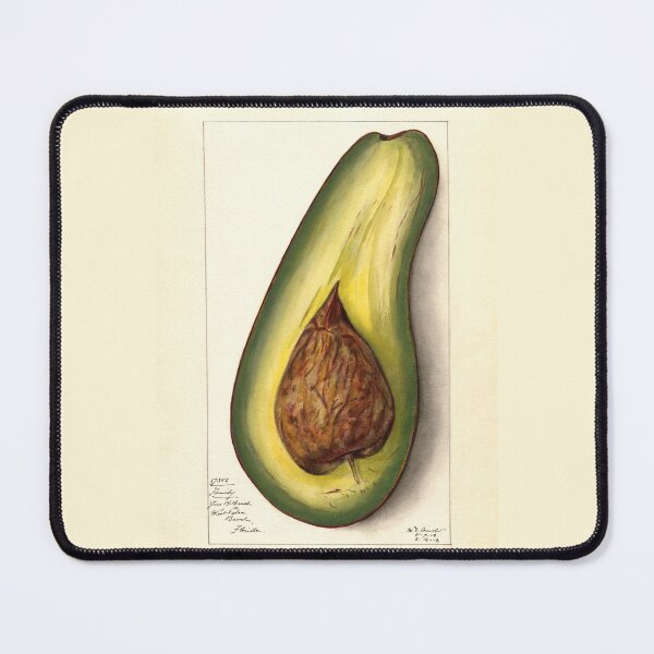 Item preview, Persea Family Avocado Botanical Study designed and sold by Glimmersmith.