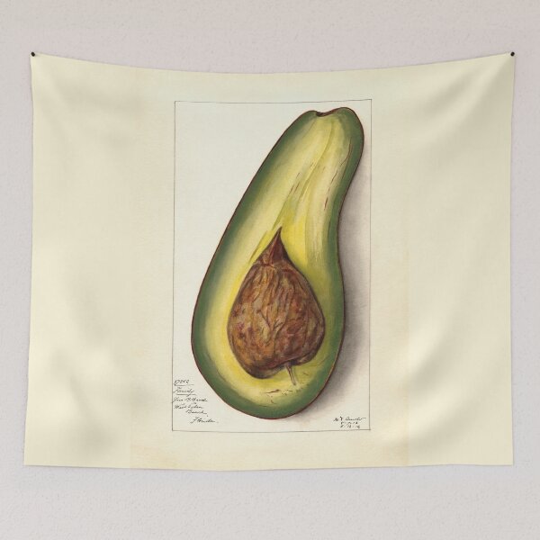 Item preview, Persea Family Avocado Botanical Study designed and sold by Glimmersmith.