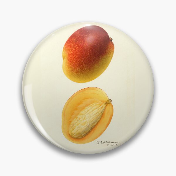 Item preview, Mangifera Indica Mango Bisected  designed and sold by Glimmersmith.