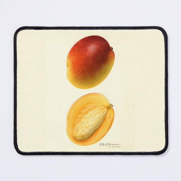 Item preview, Mangifera Indica Mango Bisected  designed and sold by Glimmersmith.