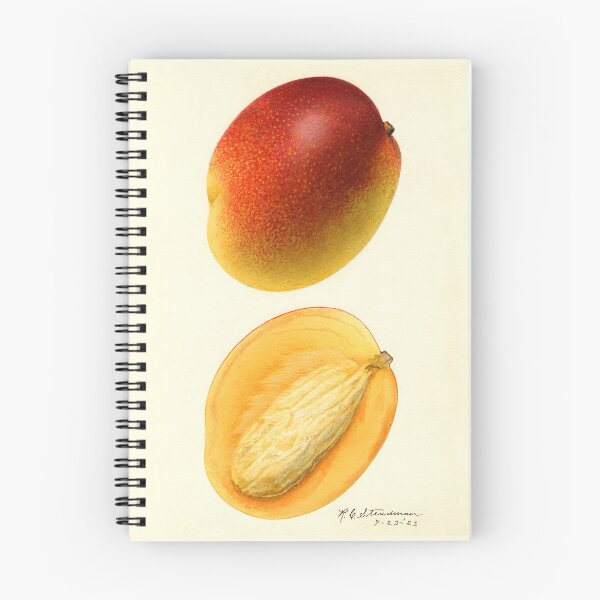 Item preview, Mangifera Indica Mango Bisected  designed and sold by Glimmersmith.