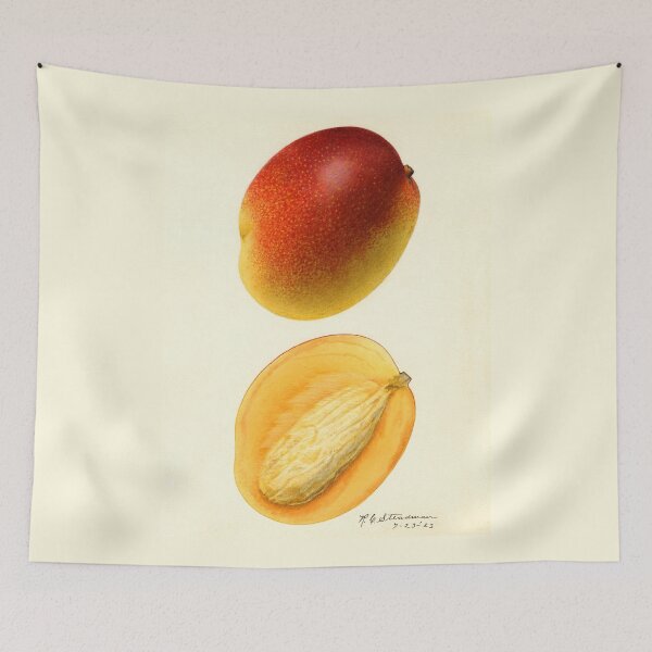 Item preview, Mangifera Indica Mango Bisected  designed and sold by Glimmersmith.