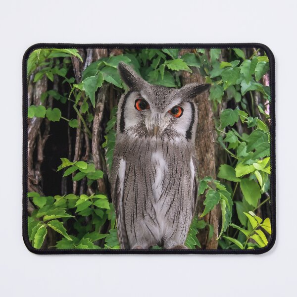 Item preview, Whooo Are You? designed and sold by heatherfriedman.