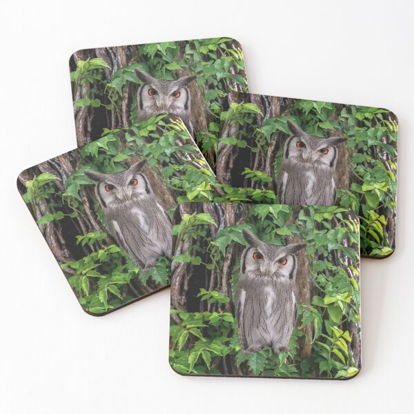 Item preview, Whooo Are You? designed and sold by heatherfriedman.