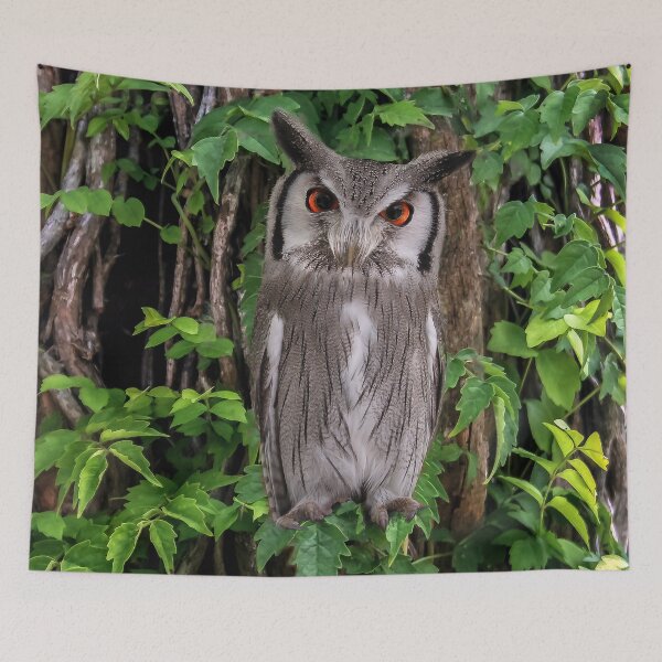 Item preview, Whooo Are You? designed and sold by heatherfriedman.