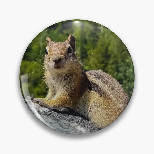 Item preview, Chipmunk v2 designed and sold by OddLilFox.