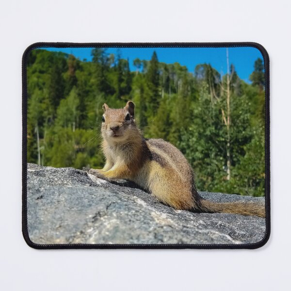 Item preview, Chipmunk v2 designed and sold by OddLilFox.