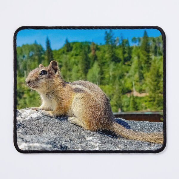 Item preview, Chipmunk v3 designed and sold by OddLilFox.