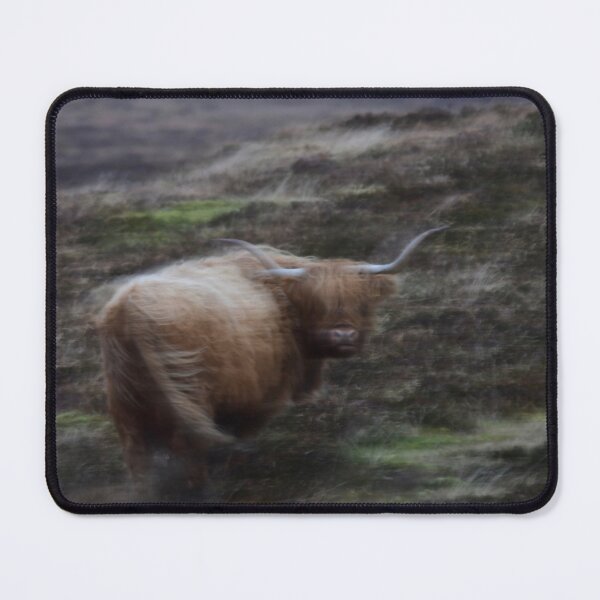 Artikelvorschau, Mooooving Coo entworfen und verkauft von photosbymia.